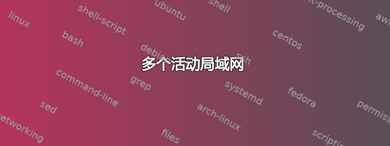 多个活动局域网