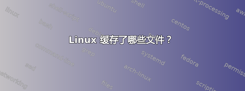 Linux 缓存了哪些文件？