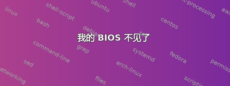 我的 BIOS 不见了