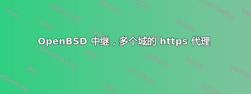 OpenBSD 中继，多个域的 https 代理