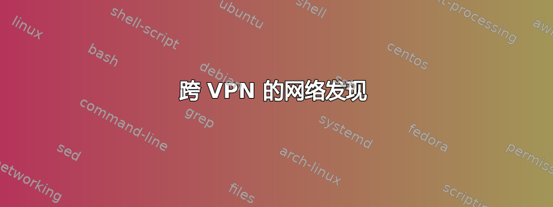 跨 VPN 的网络发现