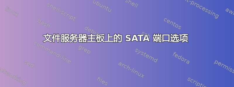 文件服务器主板上的 SATA 端口选项