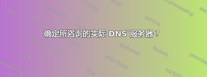 确定所咨询的实际 DNS 服务器？