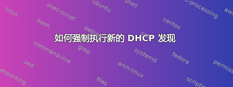 如何强制执行新的 DHCP 发现