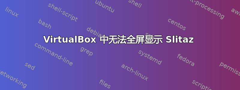 VirtualBox 中无法全屏显示 Slitaz