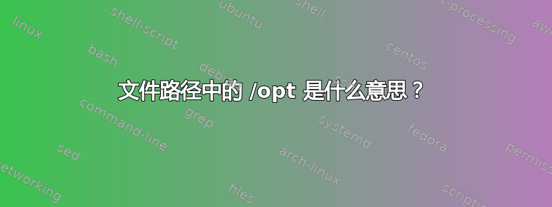 文件路径中的 /opt 是什么意思？