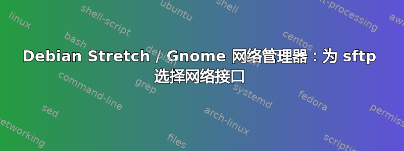 Debian Stretch / Gnome 网络管理器：为 sftp 选择网络接口