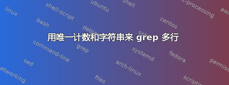 用唯一计数和字符串来 grep 多行