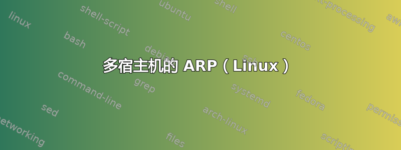 多宿主机的 ARP（Linux）