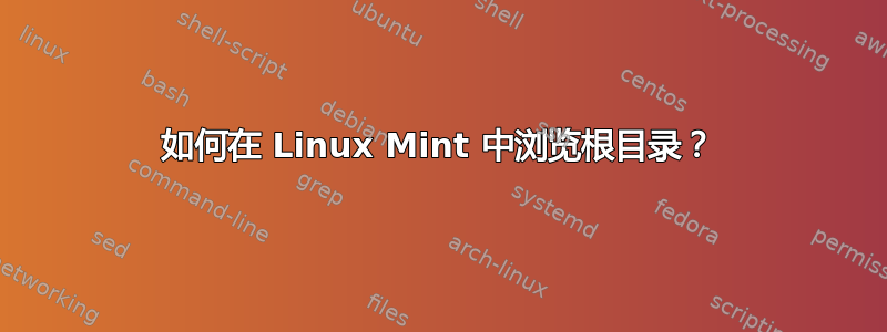 如何在 Linux Mint 中浏览根目录？