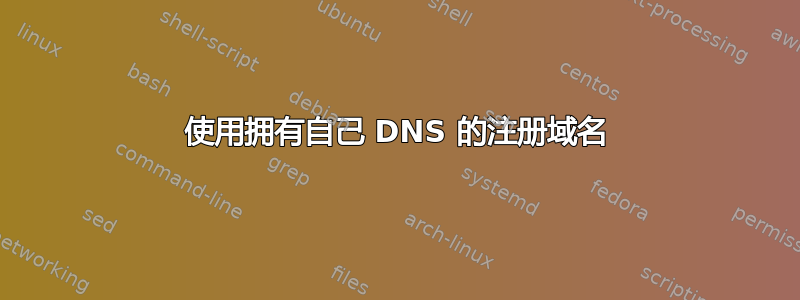 使用拥有自己 DNS 的注册域名