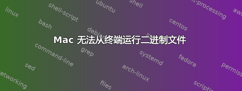 Mac 无法从终端运行二进制文件