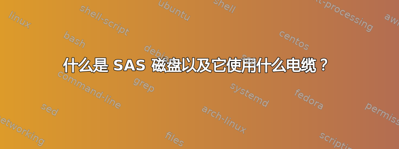 什么是 SAS 磁盘以及它使用什么电缆？