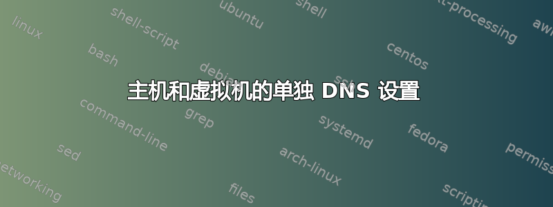 主机和虚拟机的单独 DNS 设置