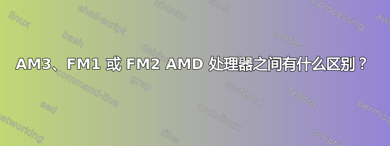 AM3、FM1 或 FM2 AMD 处理器之间有什么区别？