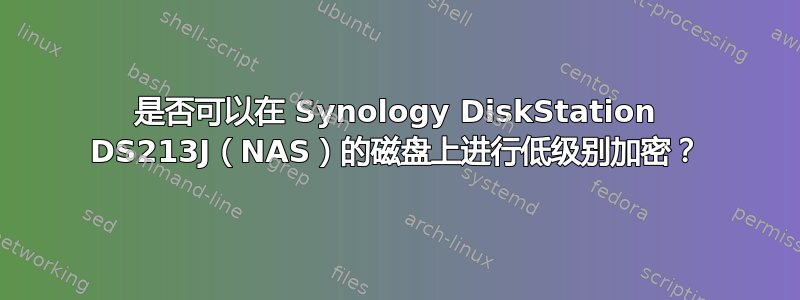 是否可以在 Synology DiskStation DS213J（NAS）的磁盘上进行低级别加密？