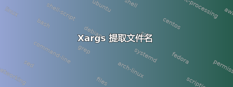 Xargs 提取文件名