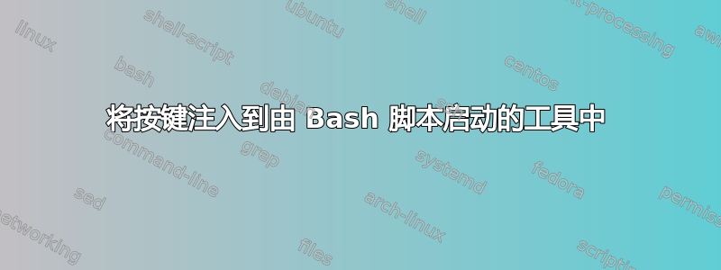 将按键注入到由 Bash 脚本启动的工具中