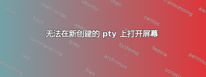 无法在新创建的 pty 上打开屏幕