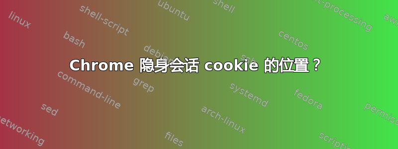 Chrome 隐身会话 cookie 的位置？