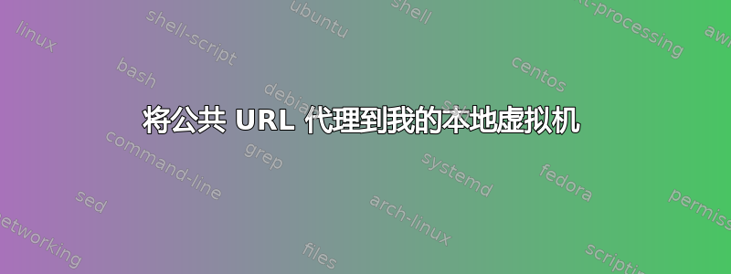 将公共 URL 代理到我的本地虚拟机