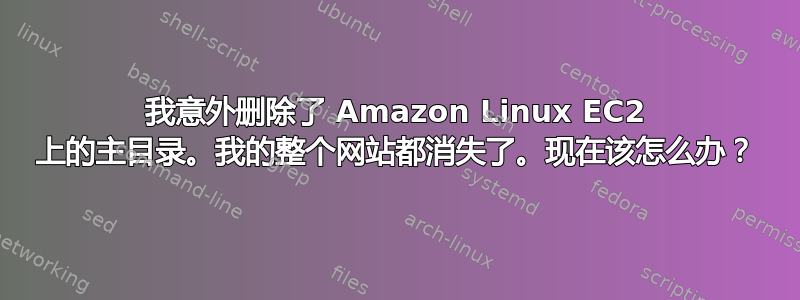 我意外删除了 Amazon Linux EC2 上的主目录。我的整个网站都消失了。现在该怎么办？