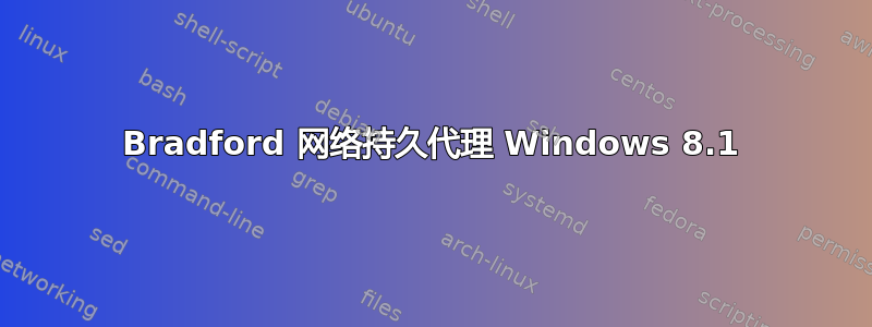 Bradford 网络持久代理 Windows 8.1