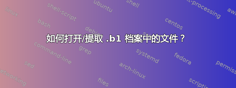 如何打开/提取 .b1 档案中的文件？