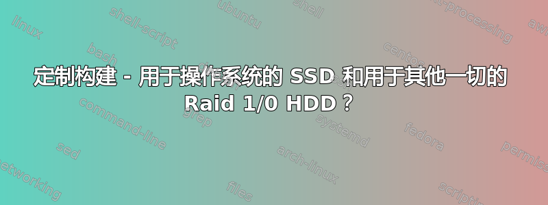 定制构建 - 用于操作系统的 SSD 和用于其他一切的 Raid 1/0 HDD？