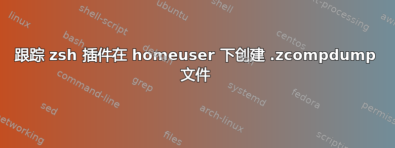 跟踪 zsh 插件在 homeuser 下创建 .zcompdump 文件