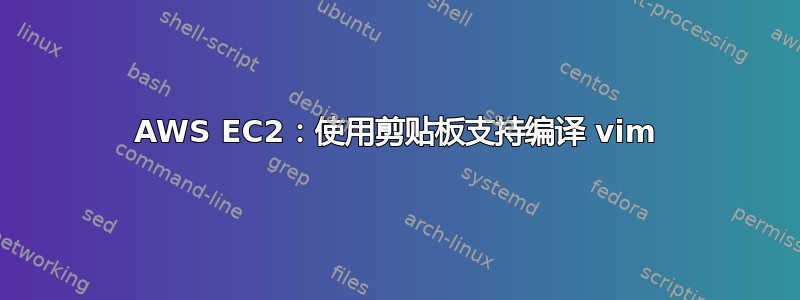 AWS EC2：使用剪贴板支持编译 vim