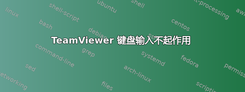 TeamViewer 键盘输入不起作用