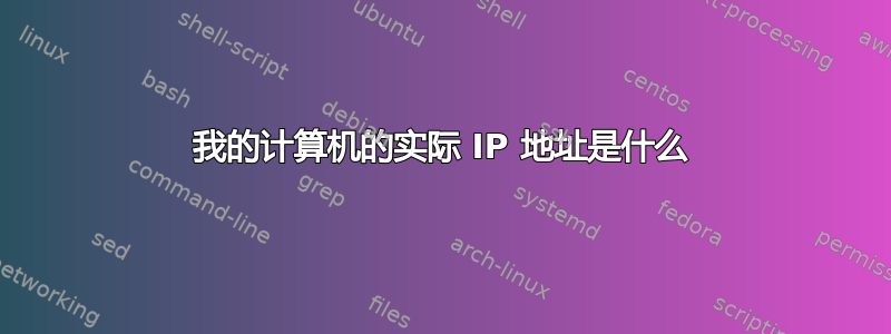 我的计算机的实际 IP 地址是什么