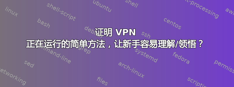 证明 VPN 正在运行的简单方法，让新手容易理解/领悟？