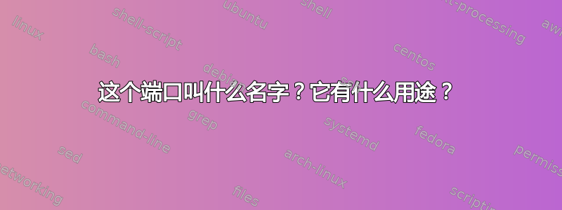 这个端口叫什么名字？它有什么用途？