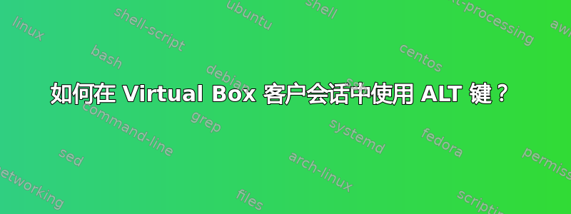 如何在 Virtual Box 客户会话中使用 ALT 键？