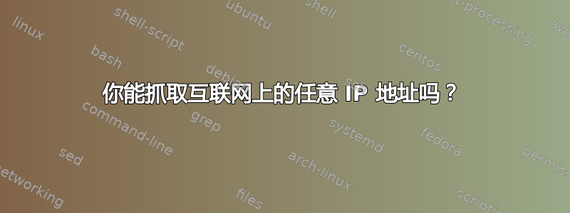 你能抓取互联网上的任意 IP 地址吗？