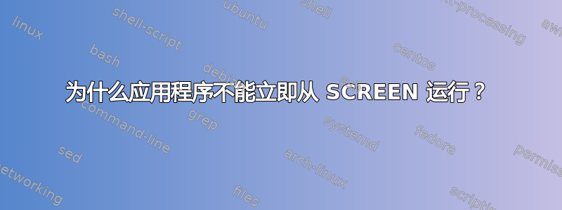 为什么应用程序不能立即从 SCREEN 运行？