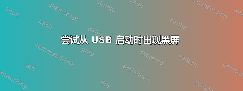 尝试从 USB 启动时出现黑屏