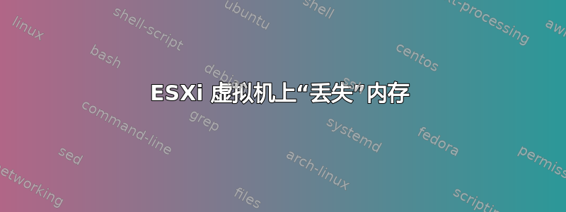 ESXi 虚拟机上“丢失”内存