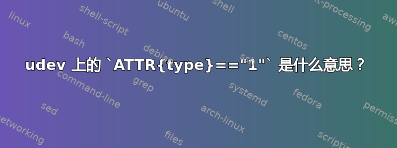 udev 上的 `ATTR{type}=="1"` 是什么意思？