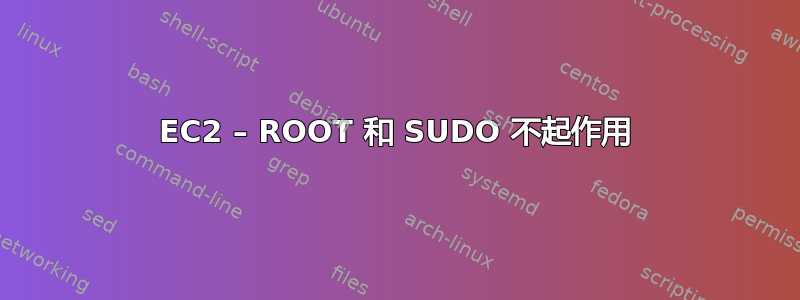 EC2 – ROOT 和 SUDO 不起作用