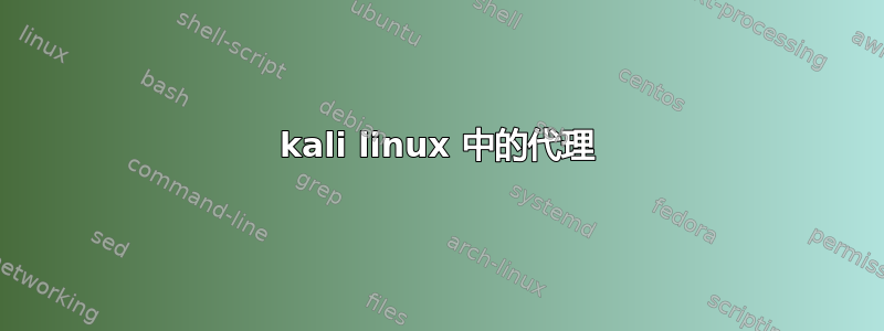 kali linux 中的代理