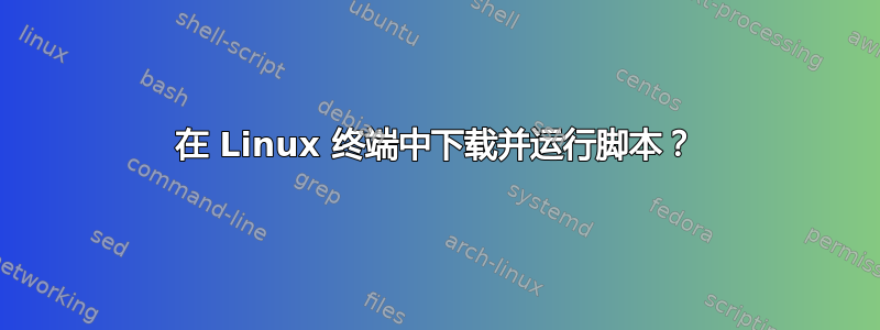 在 Linux 终端中下载并运行脚本？