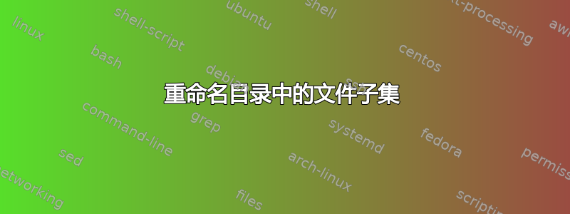 重命名目录中的文件子集