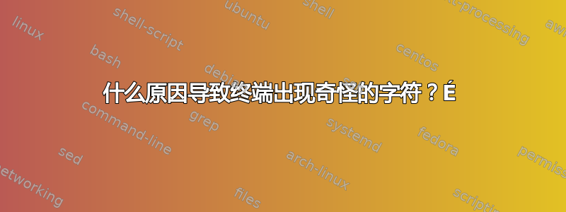 什么原因导致终端出现奇怪的字符？É