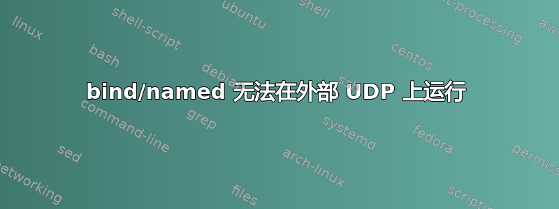 bind/named 无法在外部 UDP 上运行