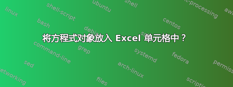 将方程式对象放入 Excel 单元格中？