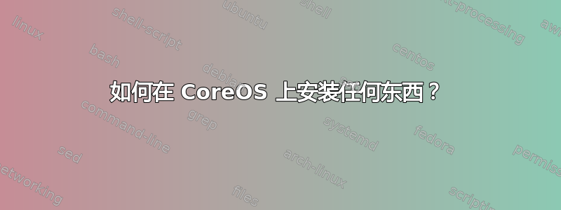 如何在 CoreOS 上安装任何东西？