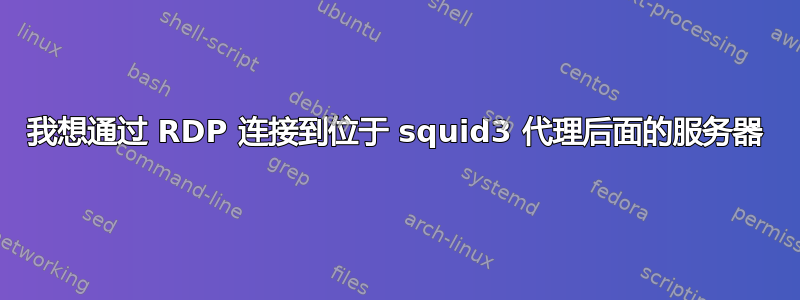 我想通过 RDP 连接到位于 squid3 代理后面的服务器